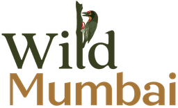 wild mumbai logo